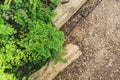 Green fern nature background. Royalty Free Stock Photo