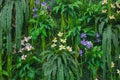 Green Fern Wall With Flowers Background