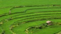 Green fertile rice terraces