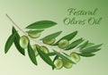 Green festival olives oil concept background, realistic style