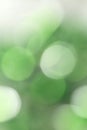 Green festive background