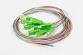 Green fiber optic SC connectors Royalty Free Stock Photo