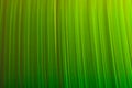 Green fiber optics abstract background Royalty Free Stock Photo