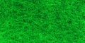 Green fiber sponge pattern texture banner, green abstract surface close-up background photo Royalty Free Stock Photo