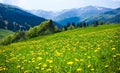 Green field with barn, mountains on background