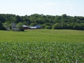 Green field with barns and wooded area behind Royalty Free Stock Photo