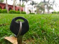 Green field with beautiful grass