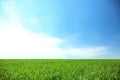 Green field with beautiful sky on sunny spring day Royalty Free Stock Photo