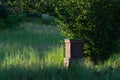 Green field and bee Hive in the morning sun.