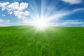 Green field and blue cloudy sky with sun Royalty Free Stock Photo