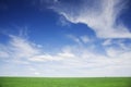 Green field, blue skies, white clouds in spring Royalty Free Stock Photo