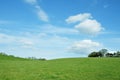 Green Field and Blue Sky Royalty Free Stock Photo