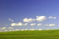 Green Field and Blue Sky