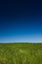 Green field and blue sky Royalty Free Stock Photo