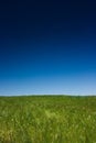 Green field and blue sky Royalty Free Stock Photo