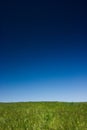 Green field and blue sky Royalty Free Stock Photo