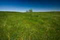 Green field and blue sky Royalty Free Stock Photo