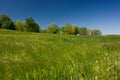 Green field and blue sky Royalty Free Stock Photo