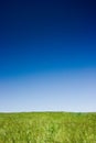 Green field and blue sky Royalty Free Stock Photo