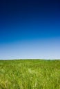 Green field and blue sky Royalty Free Stock Photo
