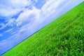 Green field and blue sky Royalty Free Stock Photo