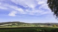 Green field and blue sky with clouds. Plain landscape background for summer poster