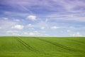 Green field with blue sky Royalty Free Stock Photo