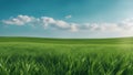 green field and blue sky A green grass on blue clear sky, spring nature panorama theme. The grass is fresh and lush, Royalty Free Stock Photo