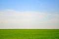 Green field and blue sky landscape background Royalty Free Stock Photo