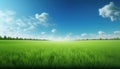 green field and blue sky, landscape background, generative ai Royalty Free Stock Photo