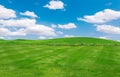 Green field and blue sky with light clouds,Image of green grass field and bright blue sky. Plain landscape background for summer Royalty Free Stock Photo