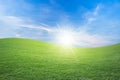 Green field and blue sky with light clouds,Image of green grass field and bright blue sky. Royalty Free Stock Photo