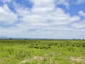 Green field and blue sky with light clouds. Summer landscape background Royalty Free Stock Photo