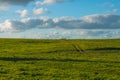 Green field and a the blue sky Royalty Free Stock Photo