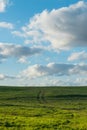 Green field and a the blue sky Royalty Free Stock Photo