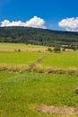 Green field and blue sky summer landscape Royalty Free Stock Photo
