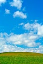 Green field, blue sky and white clouds Royalty Free Stock Photo