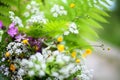 Green field bouquet of fern leaves, many different small white, yellow, purple wildflowers blurred background close up Royalty Free Stock Photo