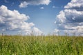 Green field and bright blue sky with cumulus clouds. Beautiful serene summer nature on a sunny day. Space for text Royalty Free Stock Photo