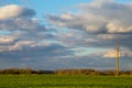 Landscape with cereal field, trees and blue sky Royalty Free Stock Photo