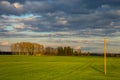 Landscape with cereal field, trees and blue sky Royalty Free Stock Photo