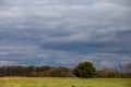 Landscape with cereal field, trees and blue sky Royalty Free Stock Photo