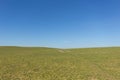 Green field , clear blue sky , rural landscape background Royalty Free Stock Photo