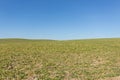 Green field , clear blue sky , rural landscape background Royalty Free Stock Photo