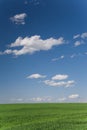 Green field and cloudscape