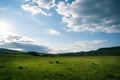 Green field with the cloudy morning sky with hills in the background Royalty Free Stock Photo