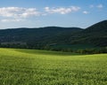 Green field with the cloudy morning sky with hills in the background Royalty Free Stock Photo