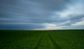 Green field and cloudy sky Royalty Free Stock Photo