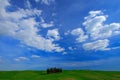 Green field with dark blue sky with white clousds, Tuscany, Italy. Tuscany landscape in summer. Summer green meadow with tree