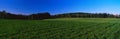 Green field on Darling Hill Road Royalty Free Stock Photo